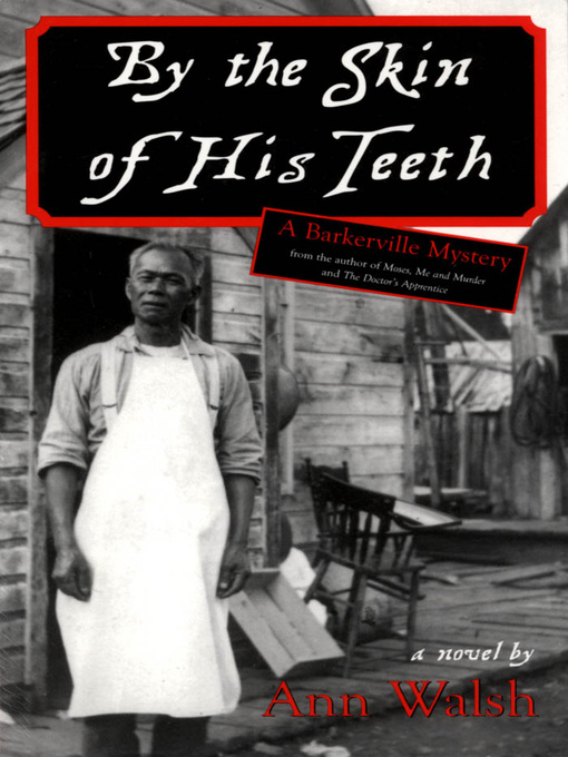 Title details for By the Skin of His Teeth by Ann Walsh - Available